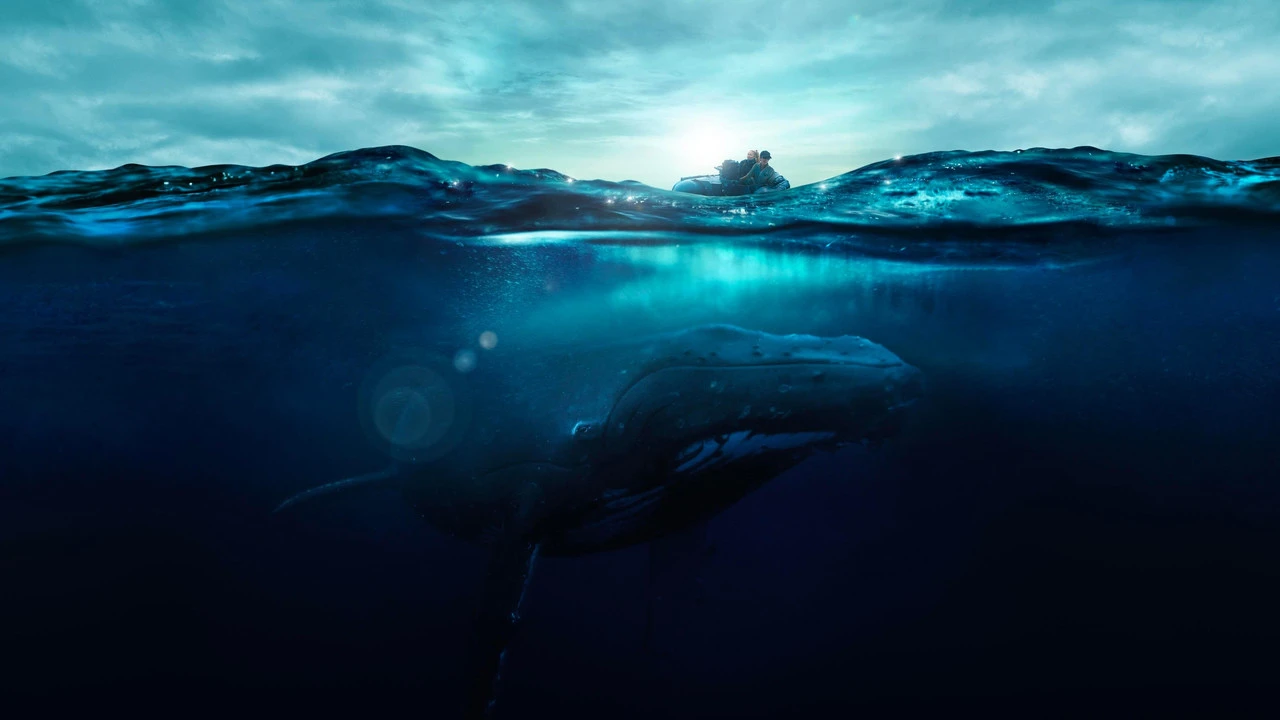 Fathom
