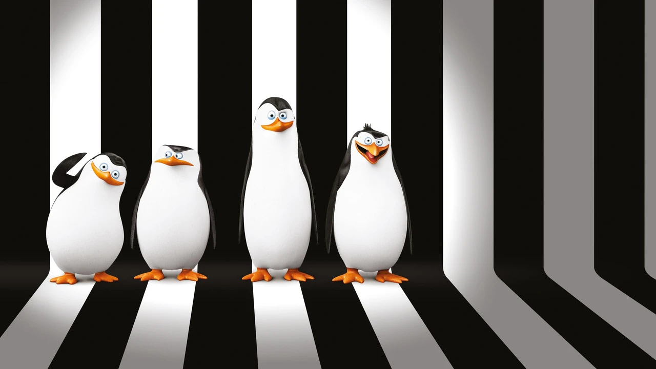 Madagaskar Penguenleri