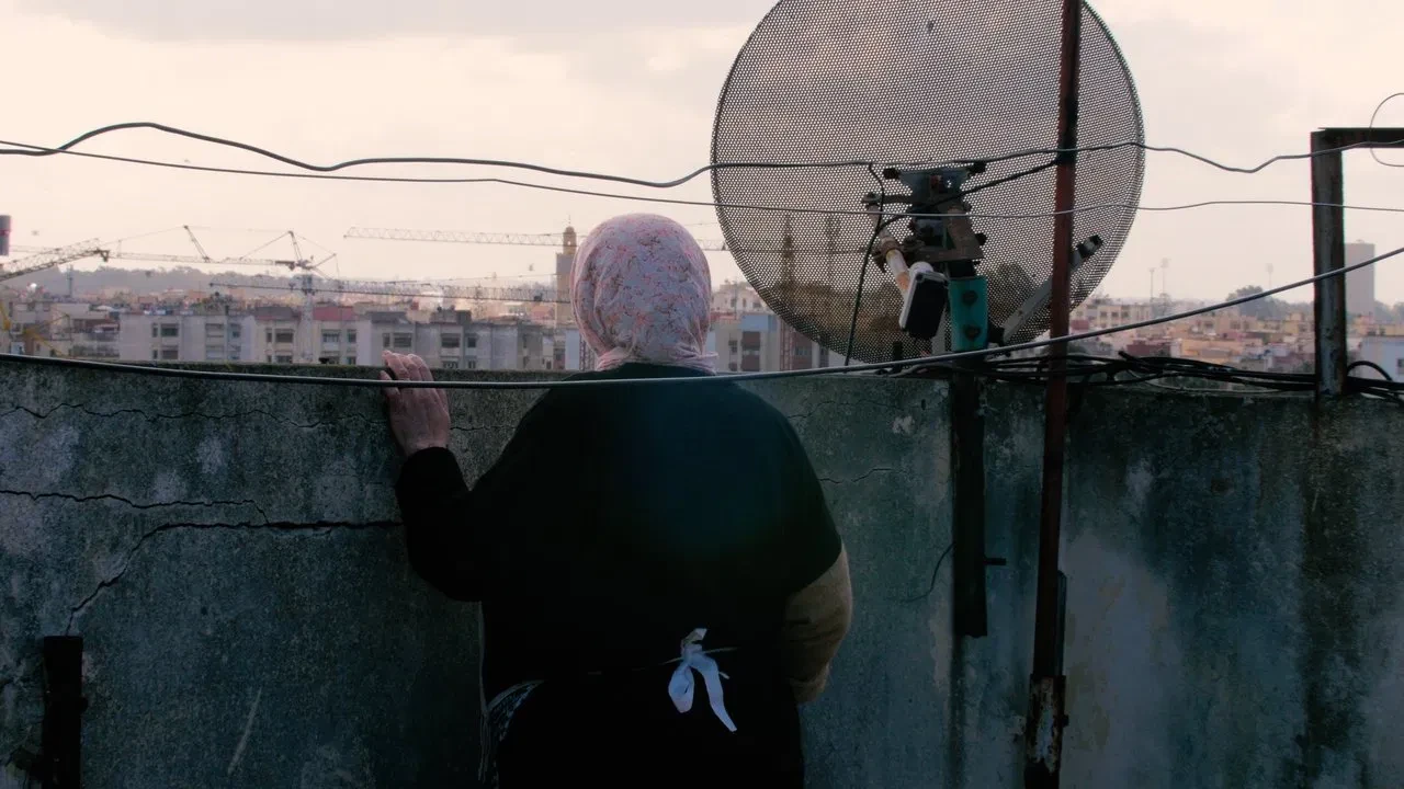 Yalanların Anası
