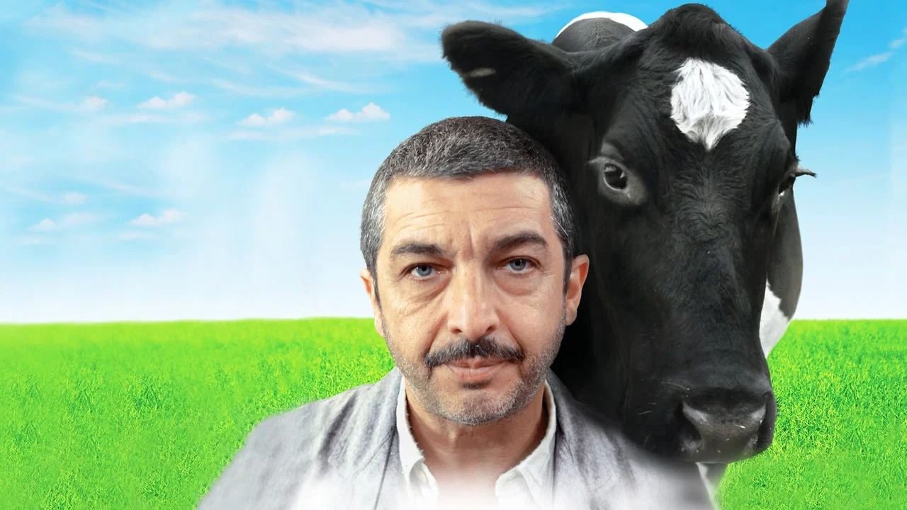 Zoraki Misafir