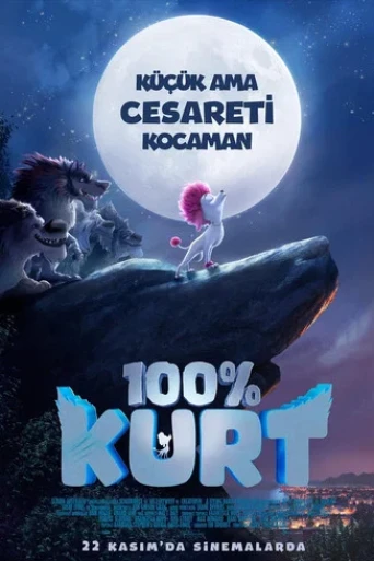 100% Kurt
